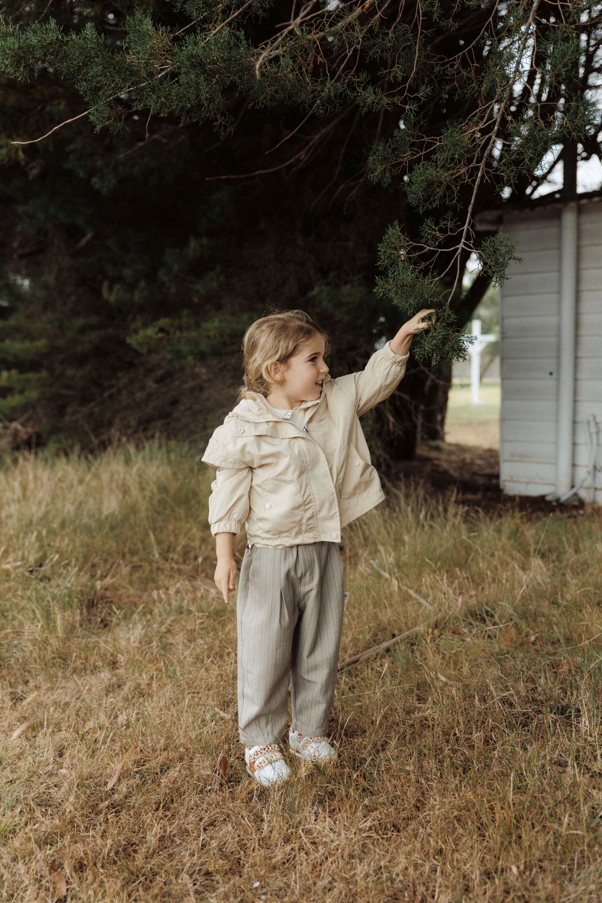 Vintage Striped Pants - Khaki