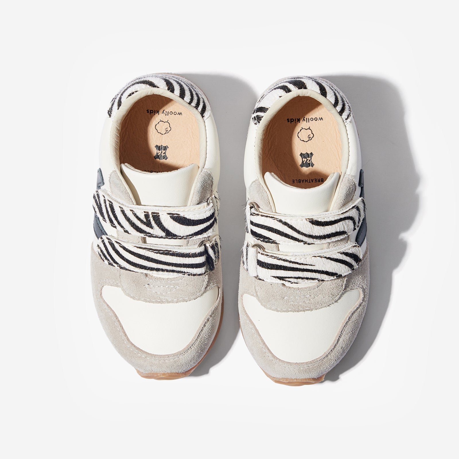 Kenya - Zebra